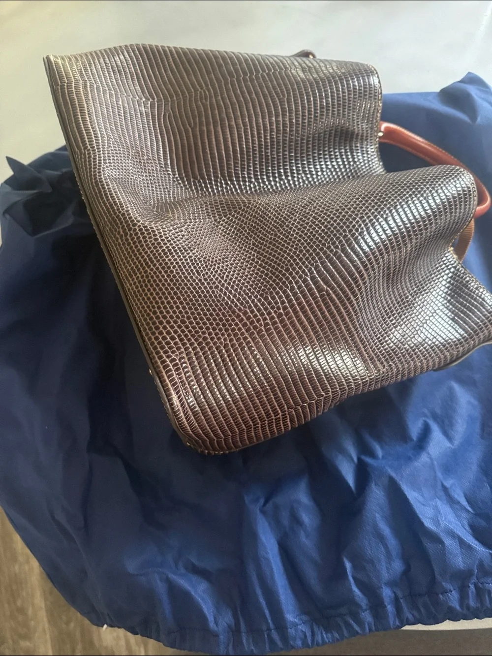 Dooney & Bourke Brown Lizard-Embossed Tote with Tan Handles